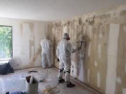 Reliable Port Republic, NJ Mold Removal Solutions